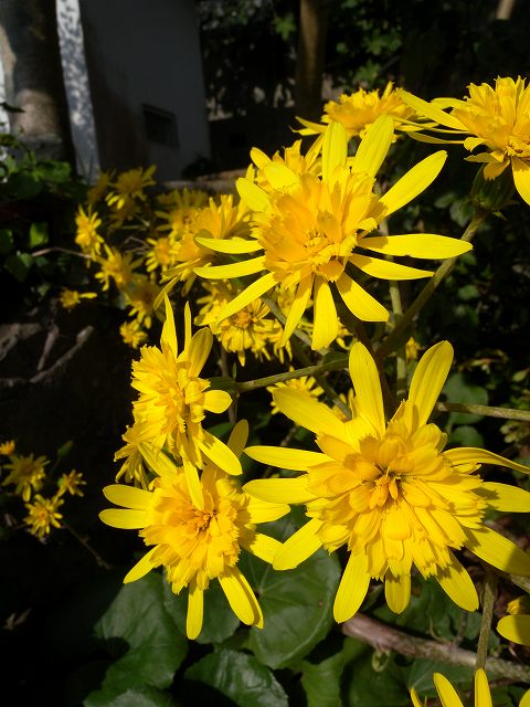 b0104861_2222087.jpg