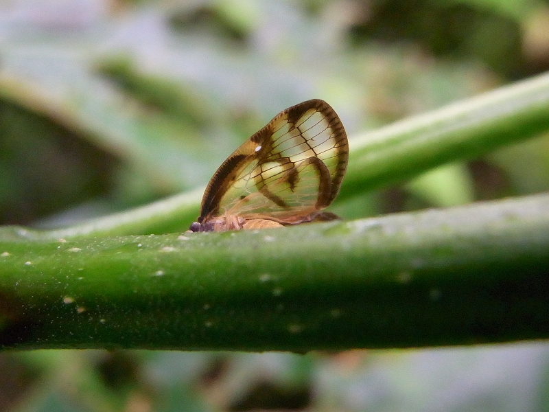 c0142963_23492645.jpg