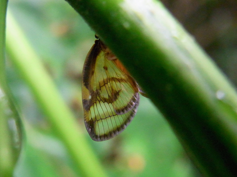 c0142963_23493581.jpg