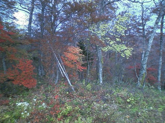 e0151566_05737100.jpg