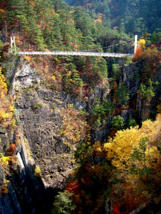 d0128167_20304348.jpg