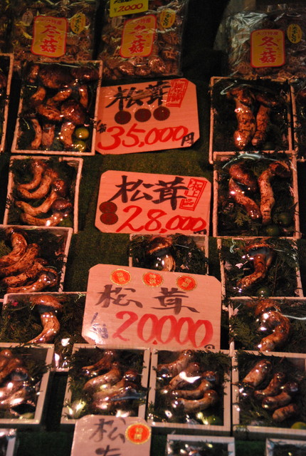 b0174068_0291017.jpg