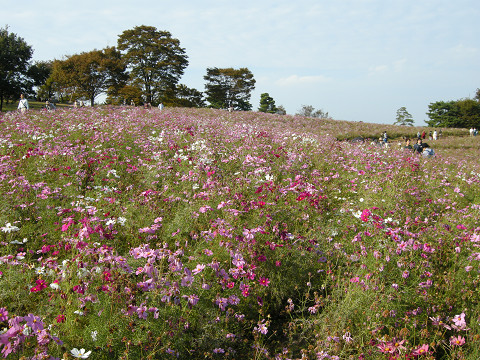 f0186368_02180.jpg