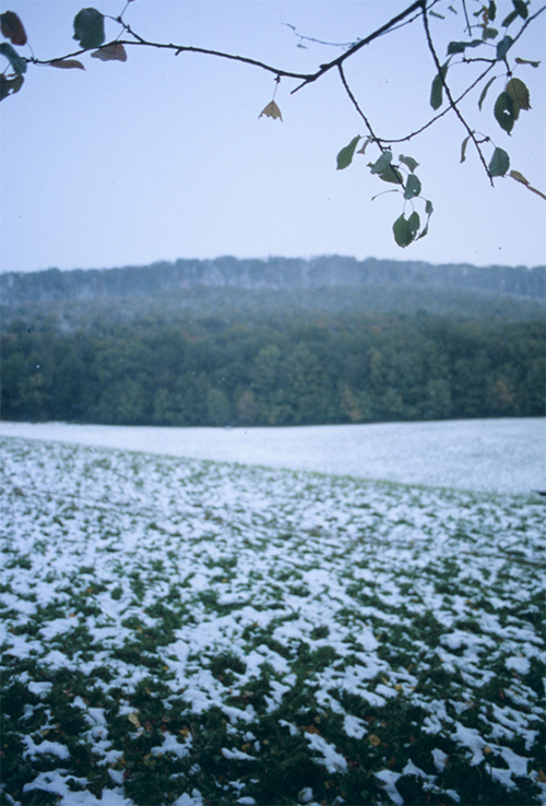 c0121269_455014.jpg