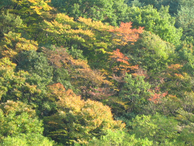 d0070473_9315254.jpg