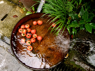 e0132881_052543.jpg