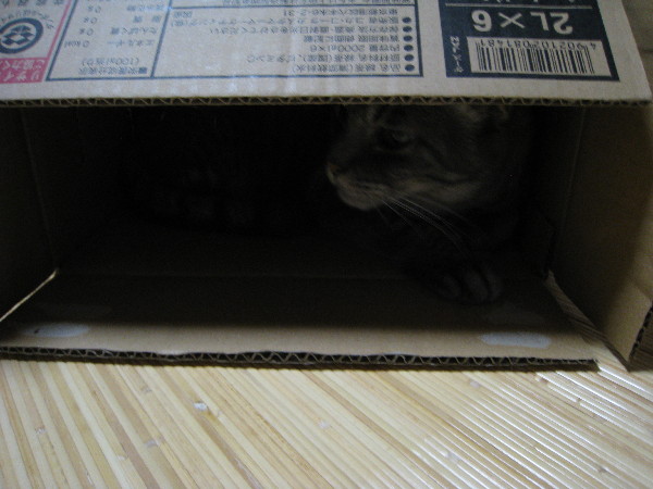 c0132387_2354544.jpg