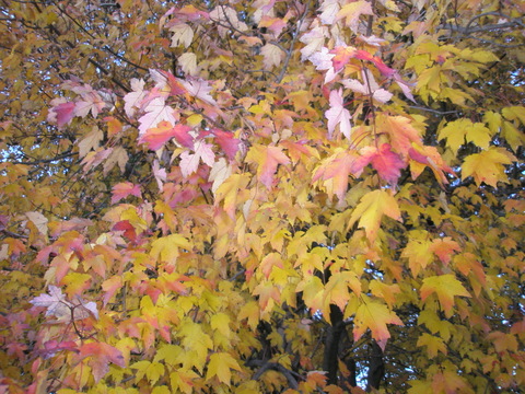 f0024887_2355868.jpg