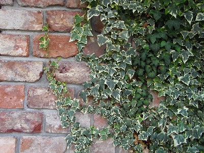 c0207890_0112284.jpg