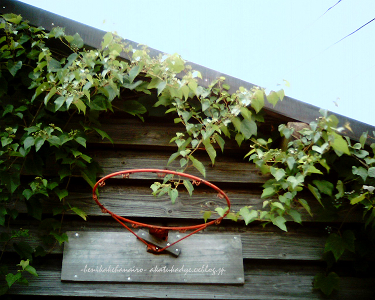 f0155990_14415674.jpg
