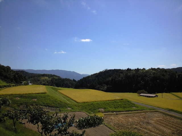 b0114392_22203163.jpg