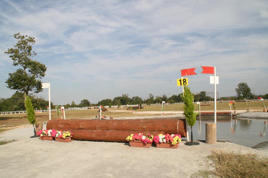 d0107394_171222.jpg