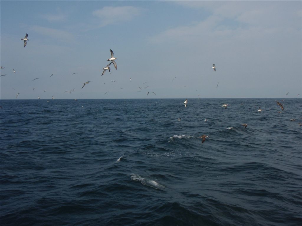 c0177497_2272172.jpg