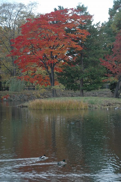 f0157901_2012571.jpg