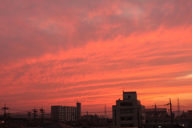 e0092203_2101630.jpg