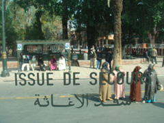 d0126508_035081.jpg