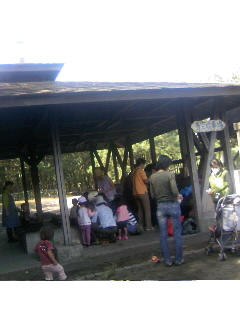 f0009509_1305299.jpg