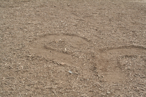 f0186509_19104032.jpg