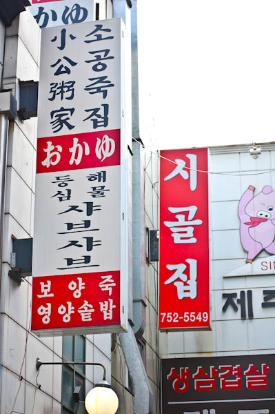 b0150811_464419.jpg