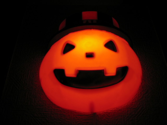 e0050111_1310153.jpg