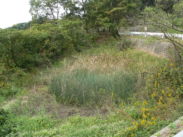 e0002314_19442938.jpg