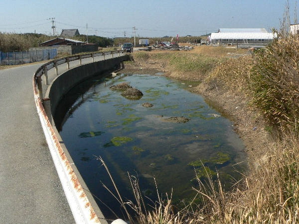 e0002314_1944580.jpg