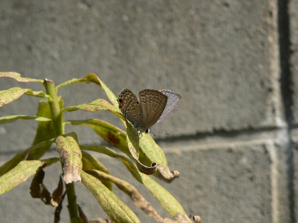 e0002314_19465834.jpg