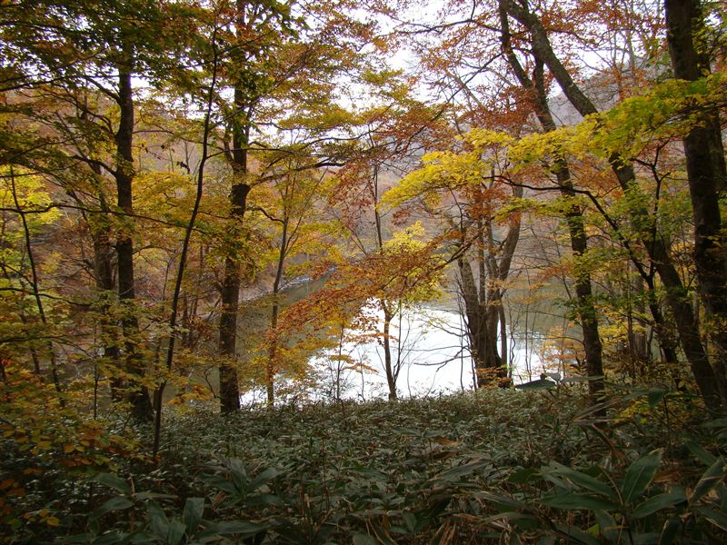 a0127015_2131594.jpg