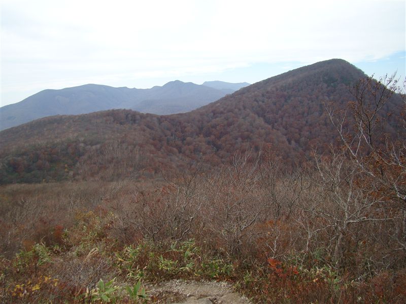 a0127015_21454240.jpg