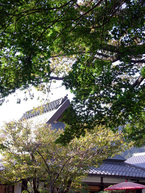 e0083517_0494454.jpg