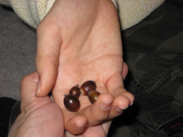 e0166032_20552591.jpg