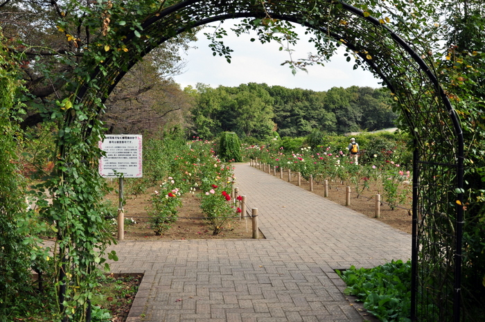c0133533_11541697.jpg