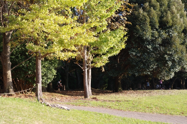 c0202541_027506.jpg