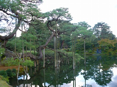 c0035843_1652496.jpg