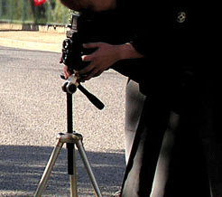 e0196543_2355816.gif