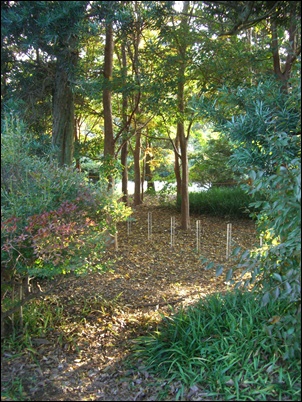 f0072846_20284733.jpg
