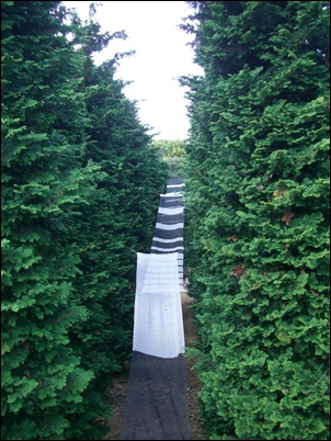 f0072846_20345759.jpg