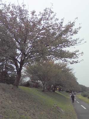 d0014748_19291692.jpg