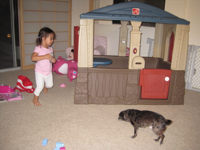 d0117456_13505661.jpg