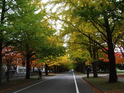 f0149057_16573064.jpg
