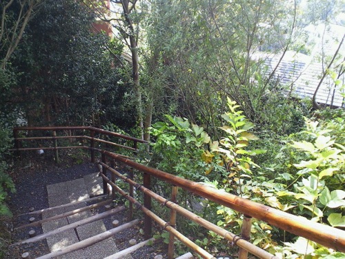 f0054859_9462345.jpg