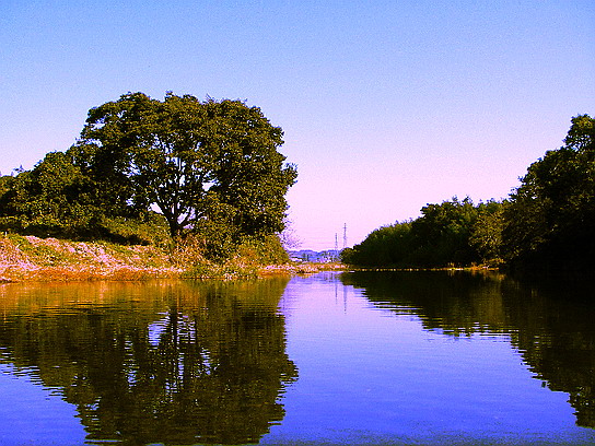 f0084561_11473256.jpg