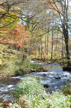 f0177964_2302586.jpg