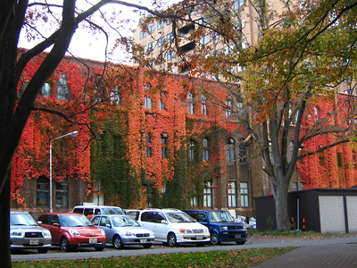 a0076667_111943100.jpg