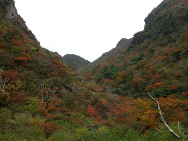 c0042869_1649437.jpg