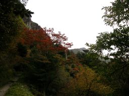 c0042869_165258100.jpg