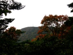 c0042869_16531337.jpg