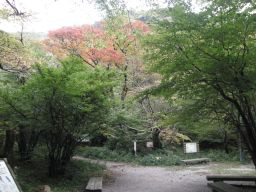 c0042869_16535745.jpg