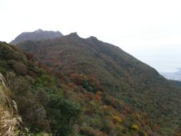 c0042869_17241947.jpg