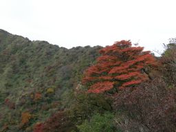 c0042869_1724530.jpg